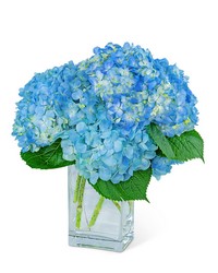 Hydrangeas In Blue from Beecher Florist in Beecher, IL